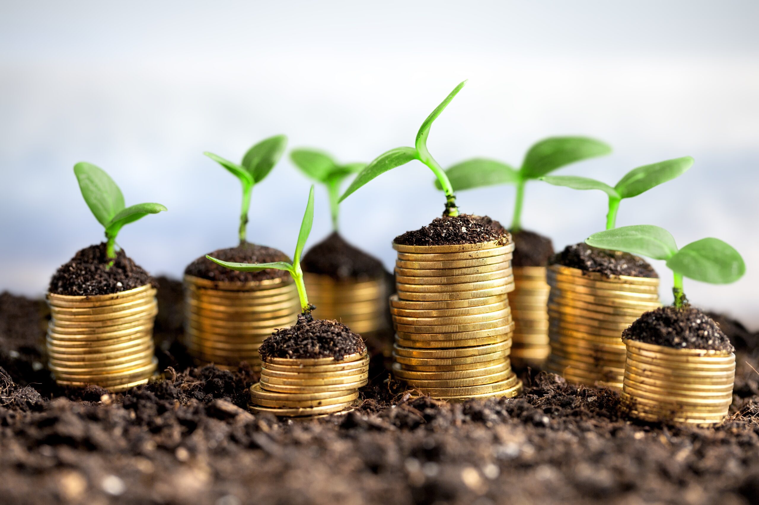 Coins in soil with young plants on sky background